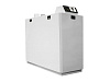 Kentatsu impect-4